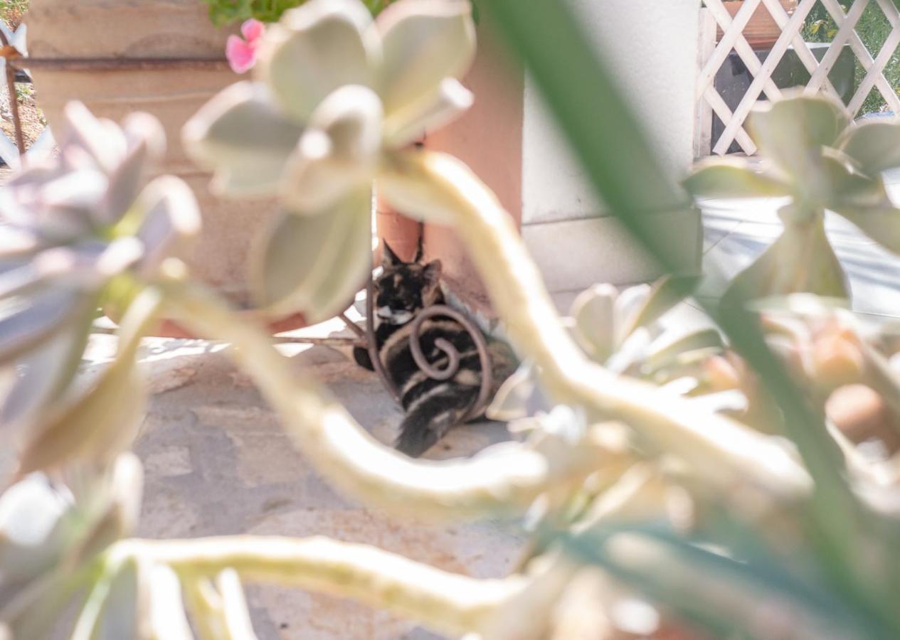 Ilia'S Holiday Home Περίθεια Εξωτερικό φωτογραφία